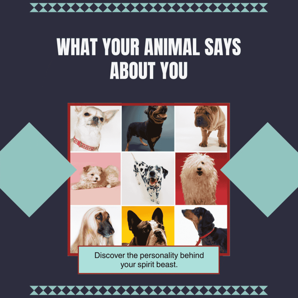 What Your Animal Says About You