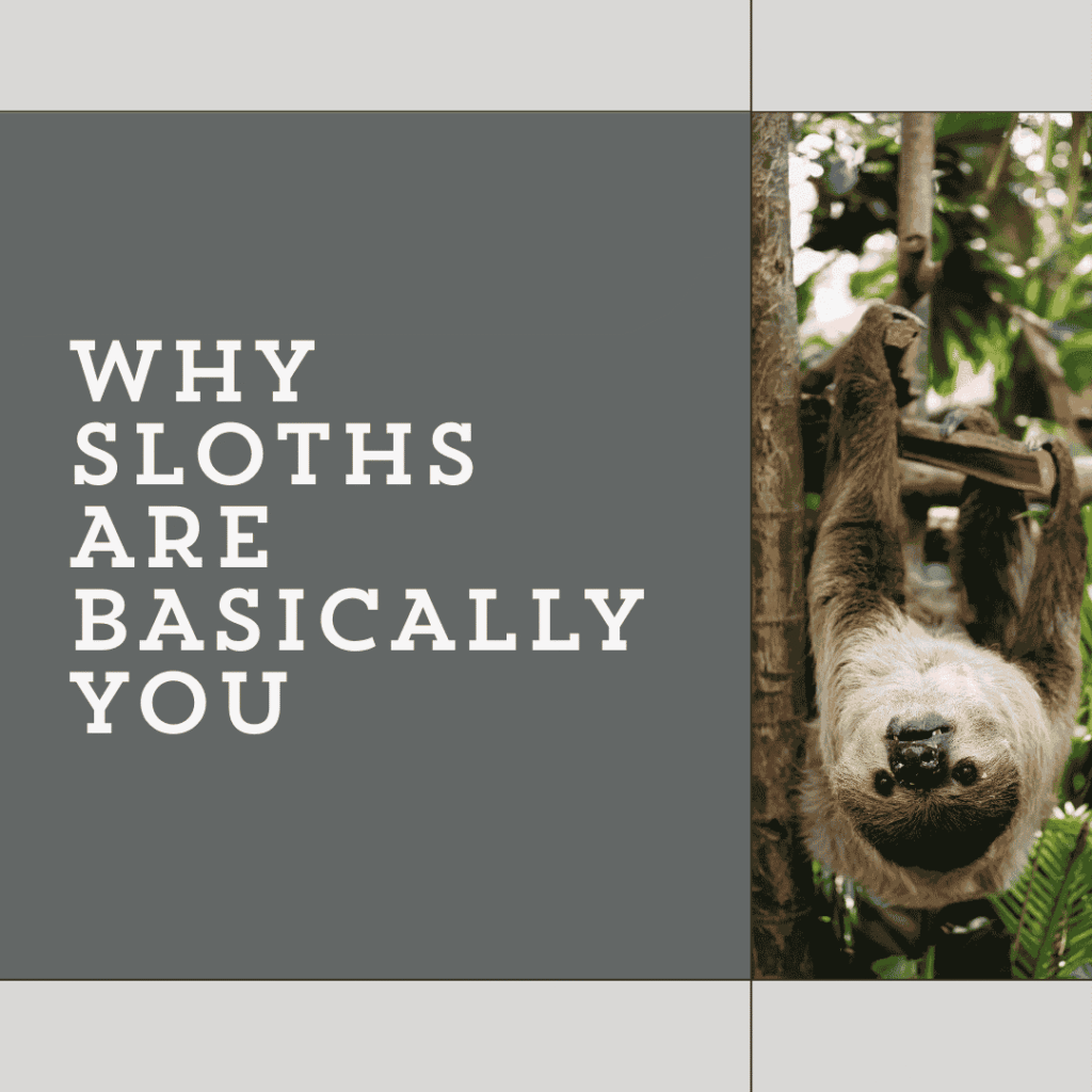 Why Sloths Are Basically You